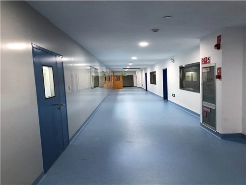 GMP药厂净化系统工程.jpg