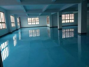 无尘净化洁净自流平